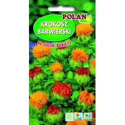 Krokosz-barwierski-a-0,5g-ST/Pl